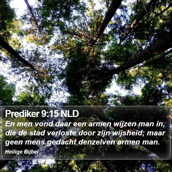 Prediker 9:15 NLD Bible Study
