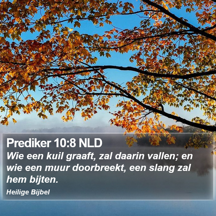 Prediker 10:8 NLD Bible Study