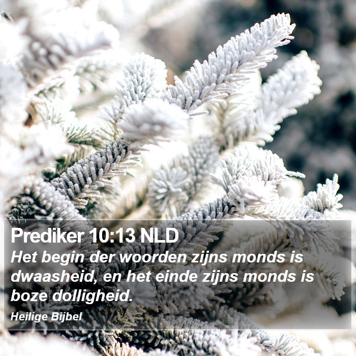 Prediker 10:13 NLD Bible Study