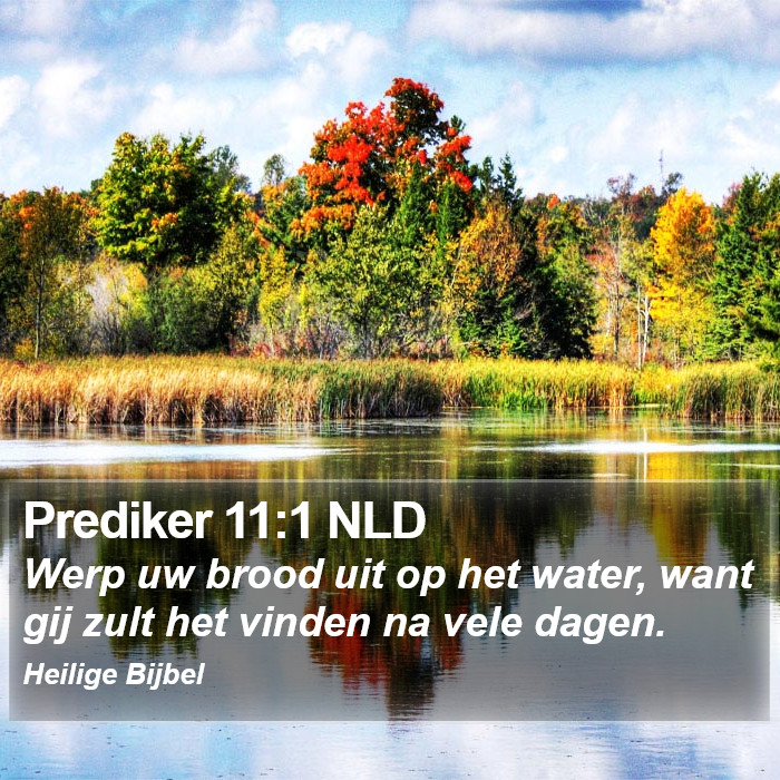 Prediker 11:1 NLD Bible Study