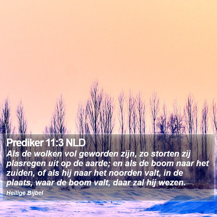 Prediker 11:3 NLD Bible Study