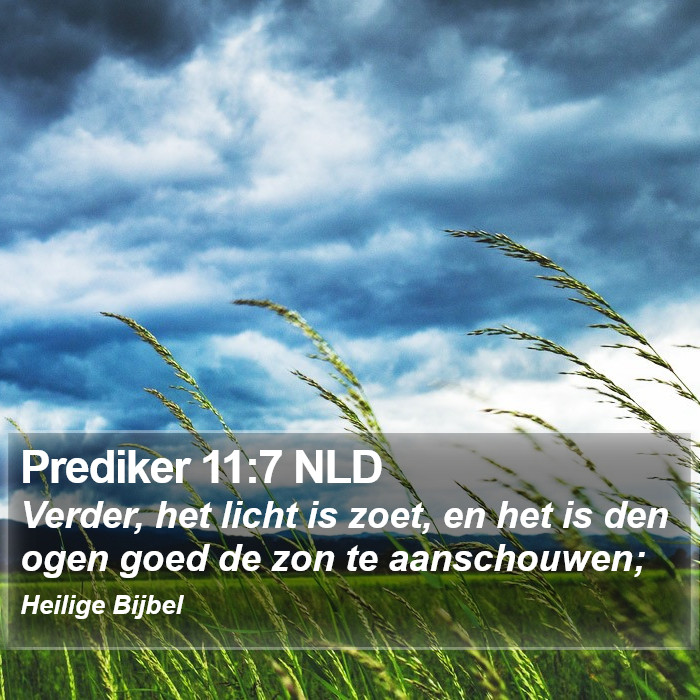 Prediker 11:7 NLD Bible Study