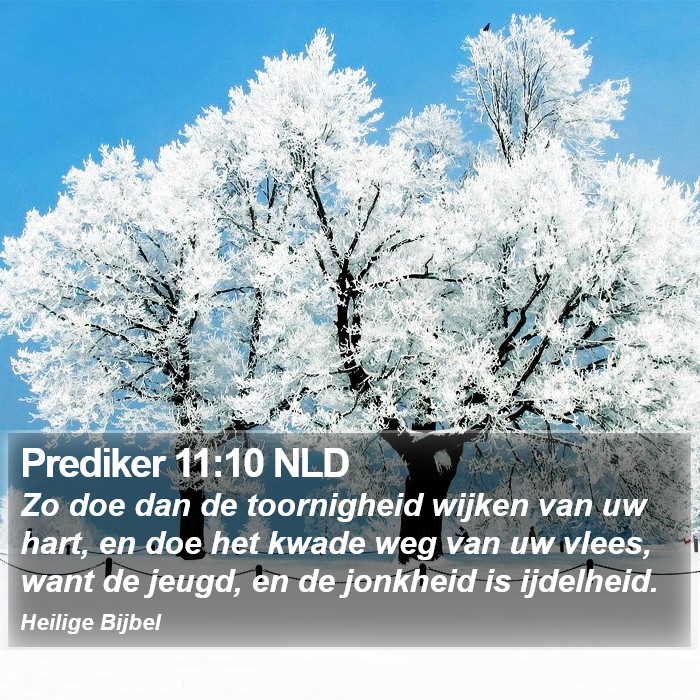 Prediker 11:10 NLD Bible Study