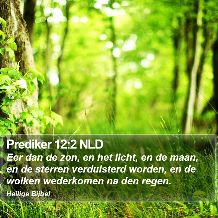 Prediker 12:2 NLD Bible Study