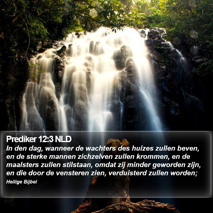 Prediker 12:3 NLD Bible Study