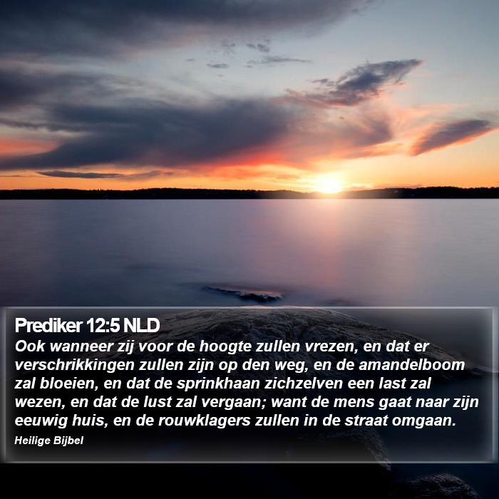 Prediker 12:5 NLD Bible Study