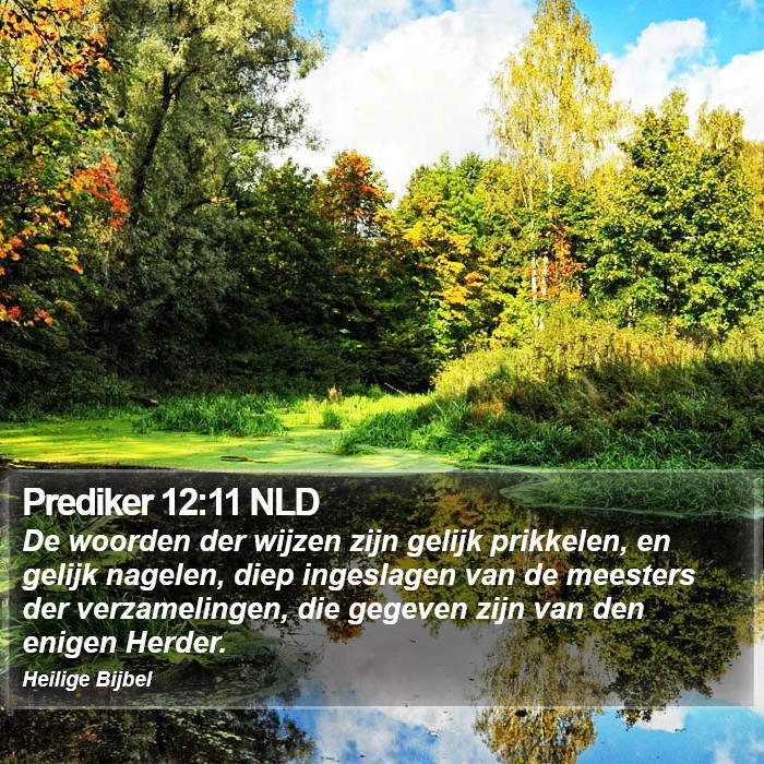 Prediker 12:11 NLD Bible Study