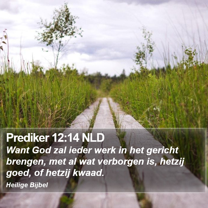 Prediker 12:14 NLD Bible Study