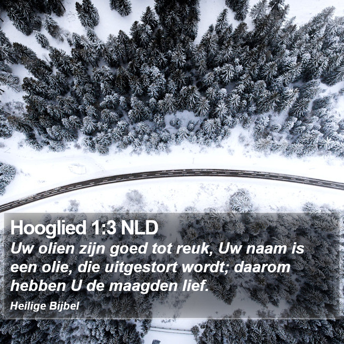 Hooglied 1:3 NLD Bible Study