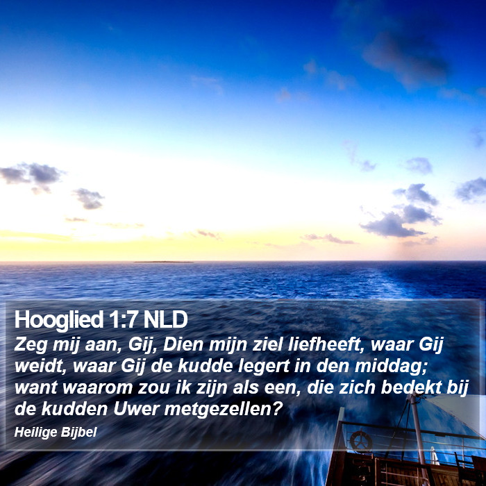 Hooglied 1:7 NLD Bible Study