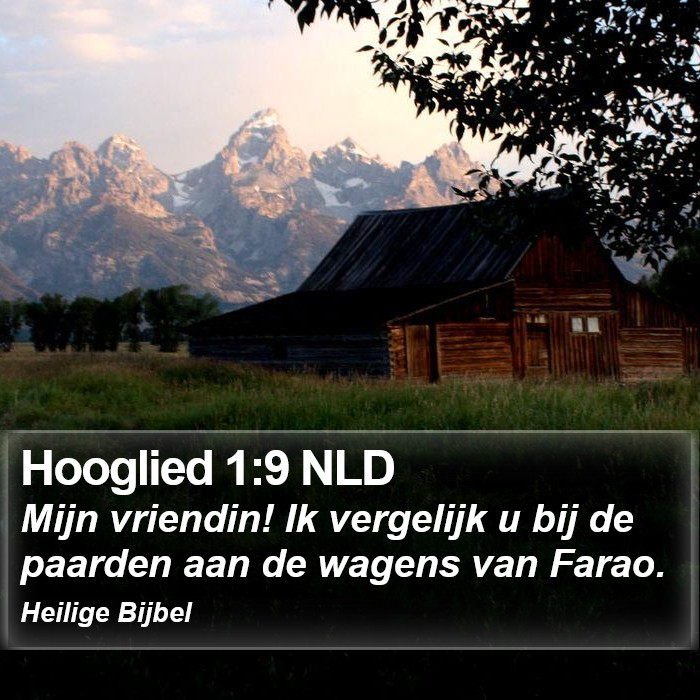 Hooglied 1:9 NLD Bible Study