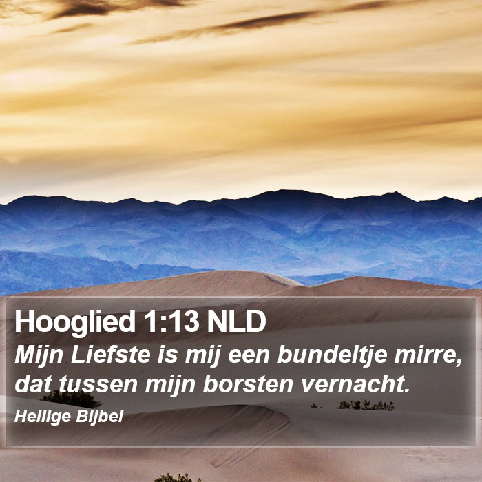 Hooglied 1:13 NLD Bible Study