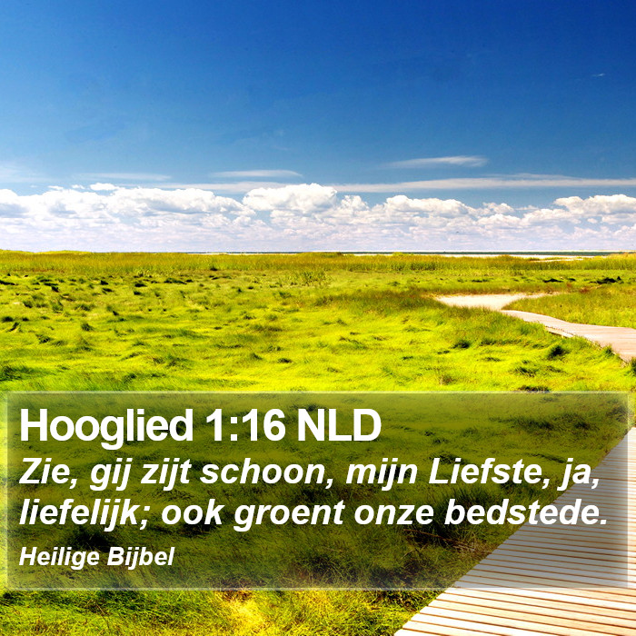 Hooglied 1:16 NLD Bible Study