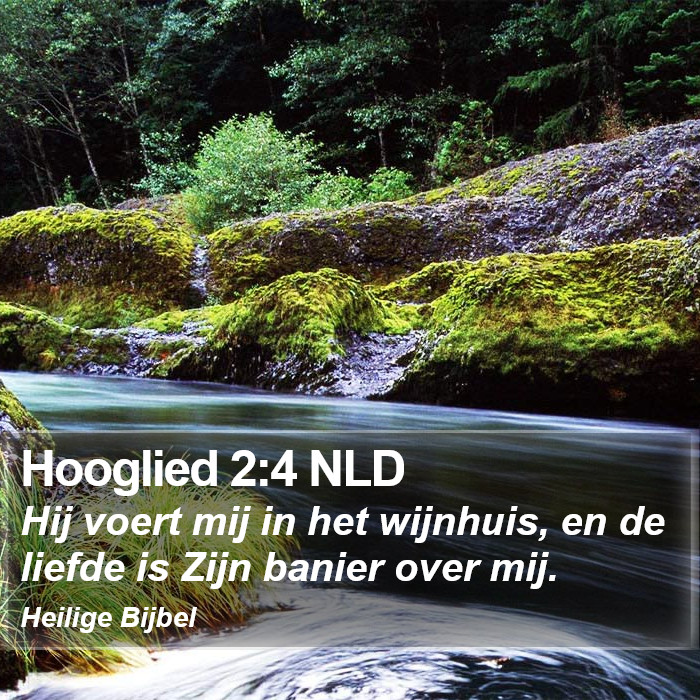 Hooglied 2:4 NLD Bible Study