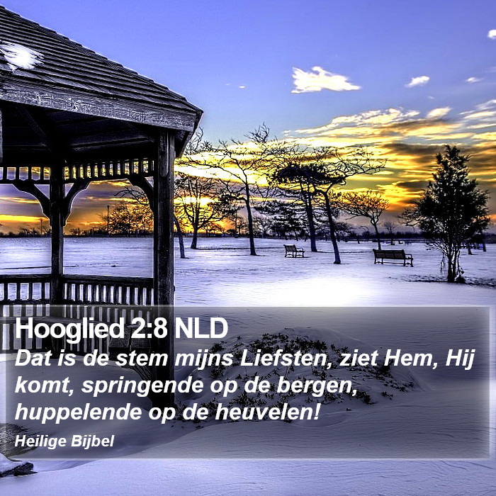 Hooglied 2:8 NLD Bible Study