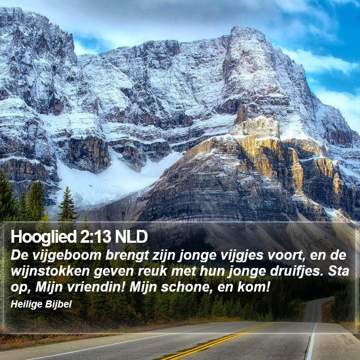 Hooglied 2:13 NLD Bible Study