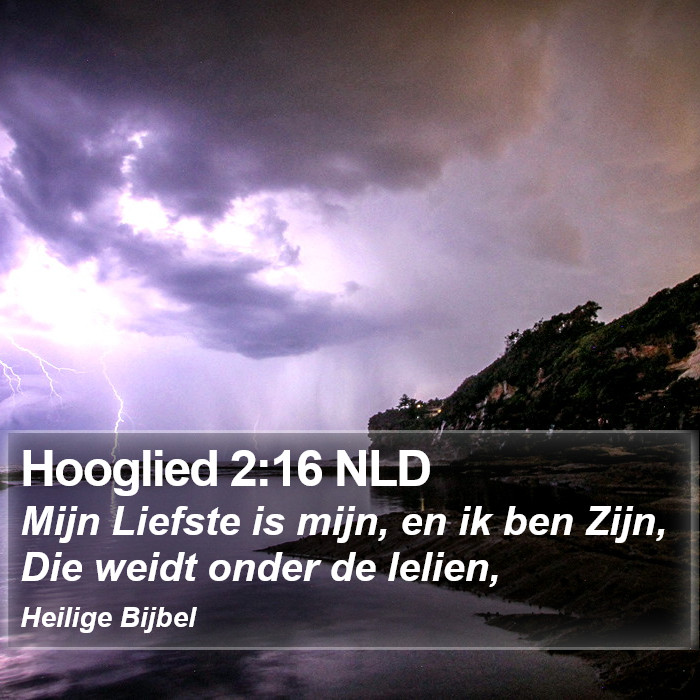 Hooglied 2:16 NLD Bible Study