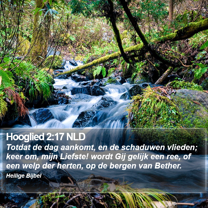 Hooglied 2:17 NLD Bible Study