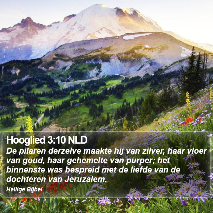 Hooglied 3:10 NLD Bible Study