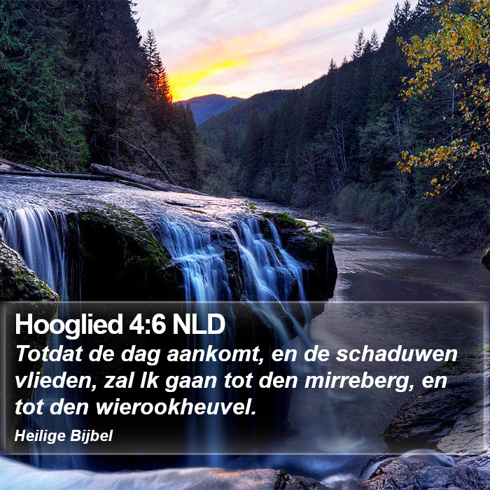 Hooglied 4:6 NLD Bible Study