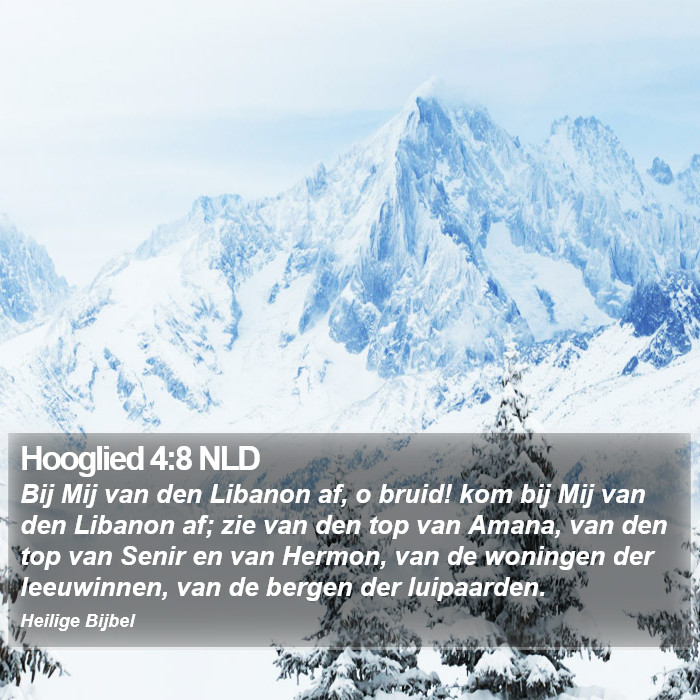 Hooglied 4:8 NLD Bible Study