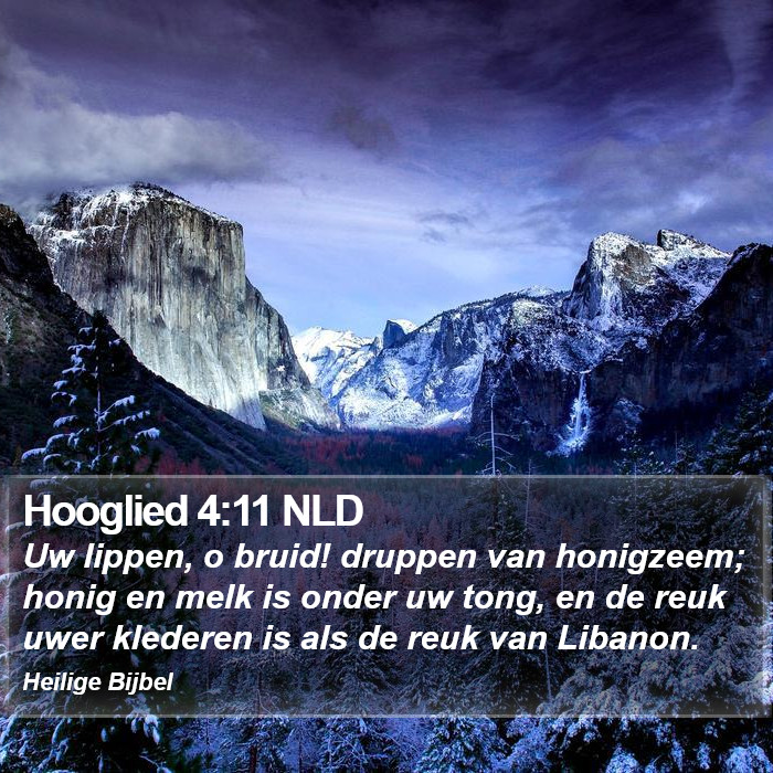 Hooglied 4:11 NLD Bible Study