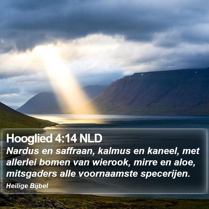 Hooglied 4:14 NLD Bible Study