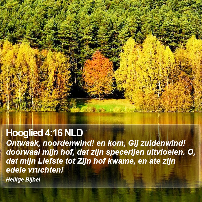 Hooglied 4:16 NLD Bible Study