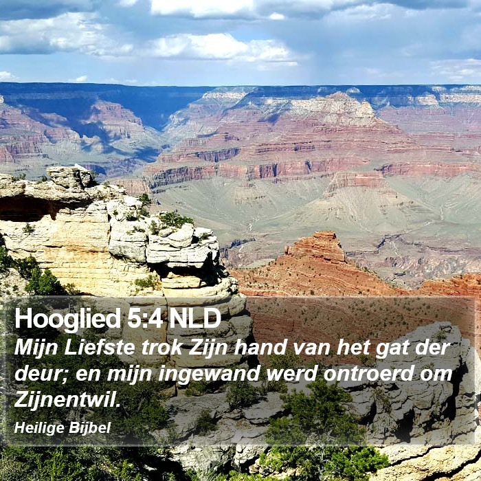 Hooglied 5:4 NLD Bible Study