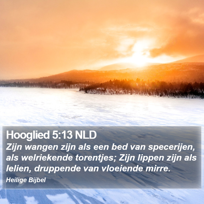 Hooglied 5:13 NLD Bible Study