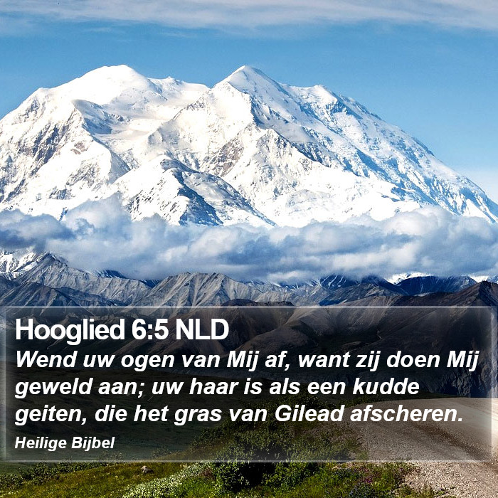 Hooglied 6:5 NLD Bible Study