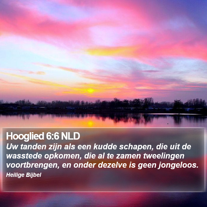 Hooglied 6:6 NLD Bible Study