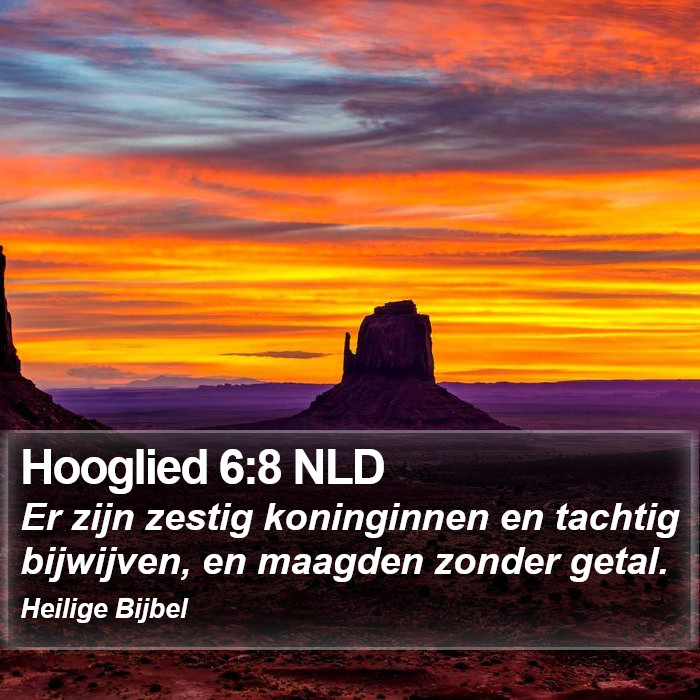 Hooglied 6:8 NLD Bible Study