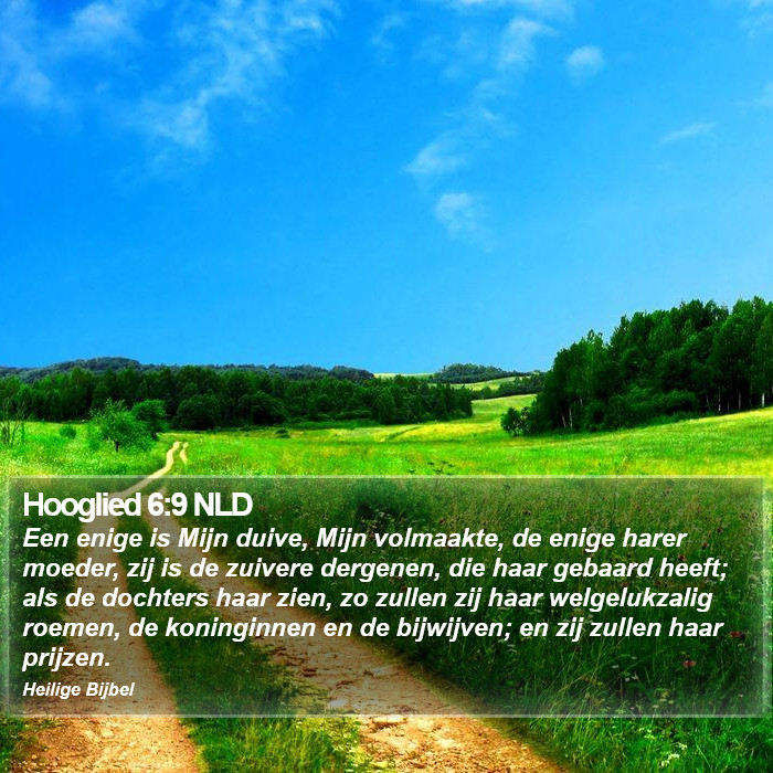 Hooglied 6:9 NLD Bible Study