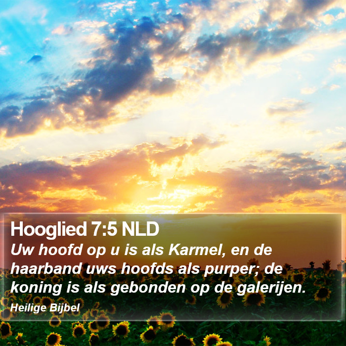 Hooglied 7:5 NLD Bible Study