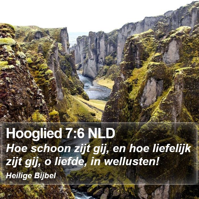 Hooglied 7:6 NLD Bible Study