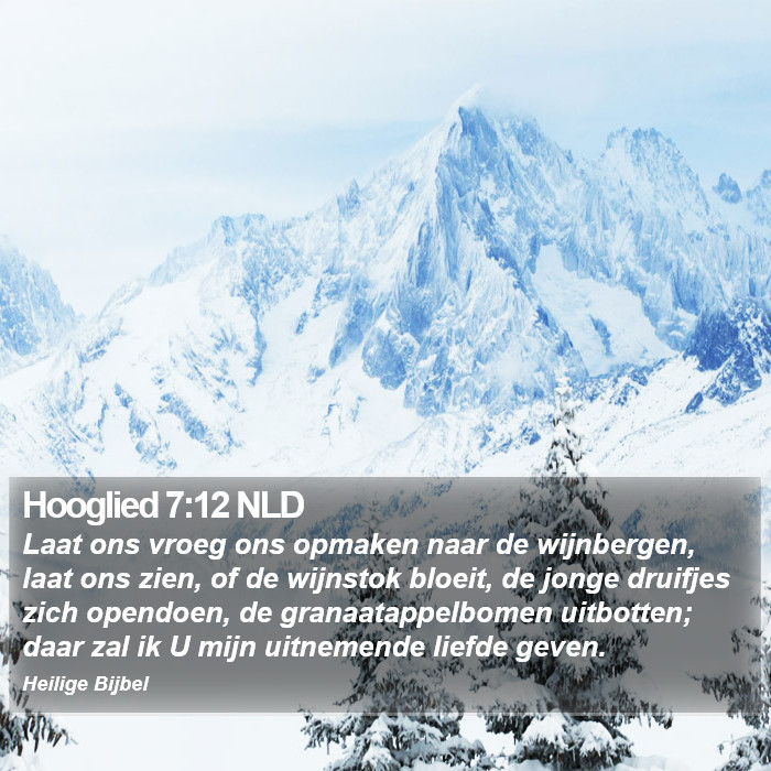 Hooglied 7:12 NLD Bible Study