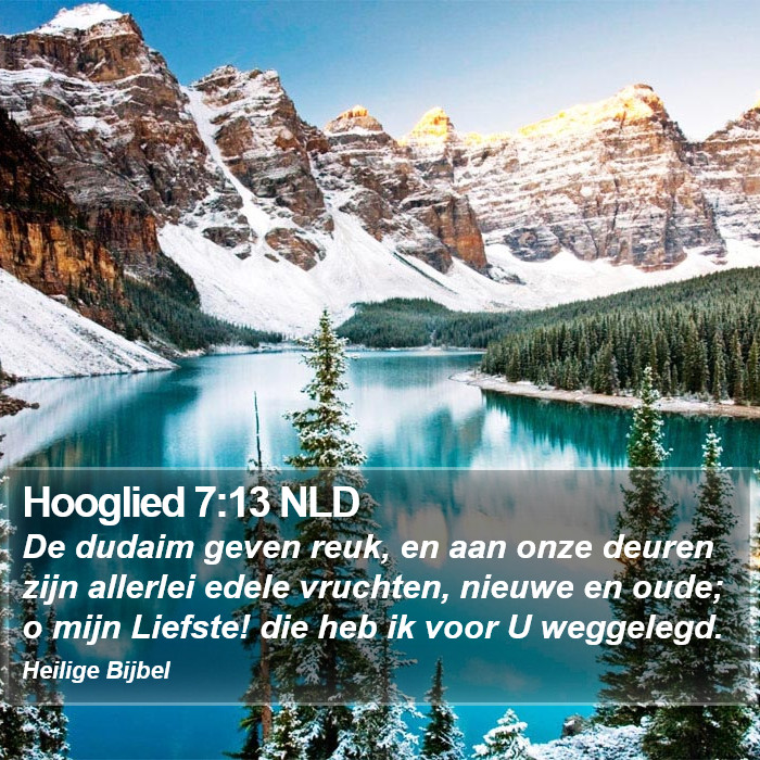 Hooglied 7:13 NLD Bible Study