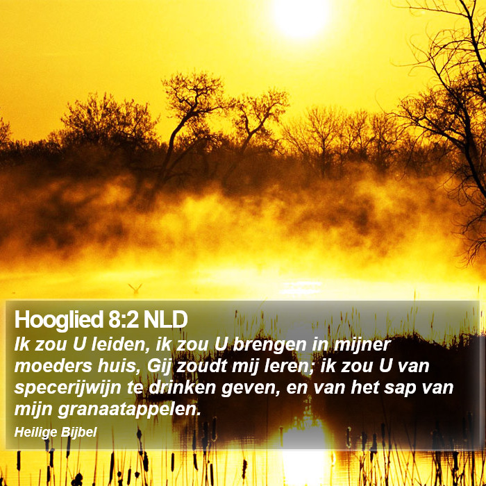 Hooglied 8:2 NLD Bible Study