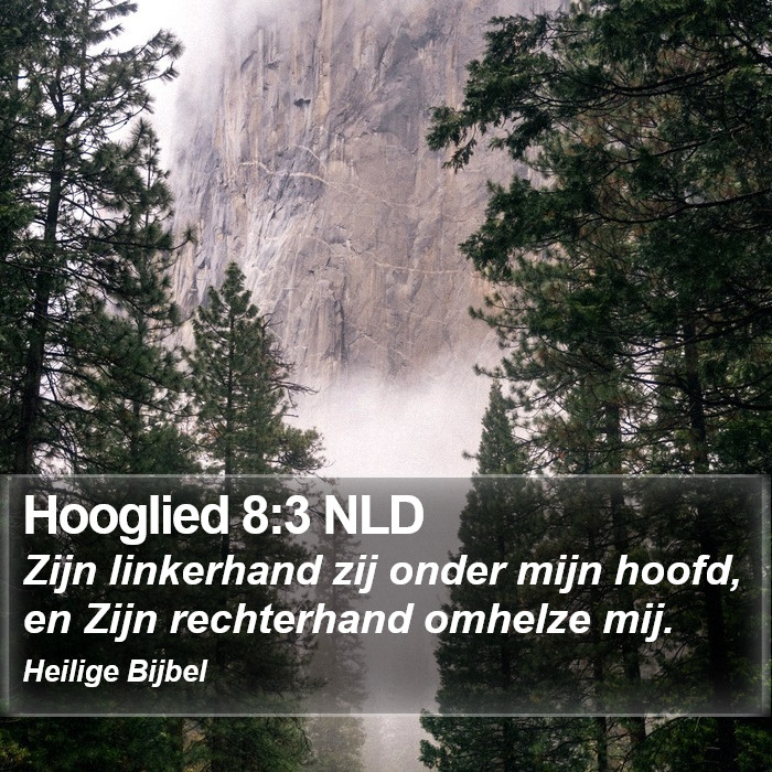 Hooglied 8:3 NLD Bible Study