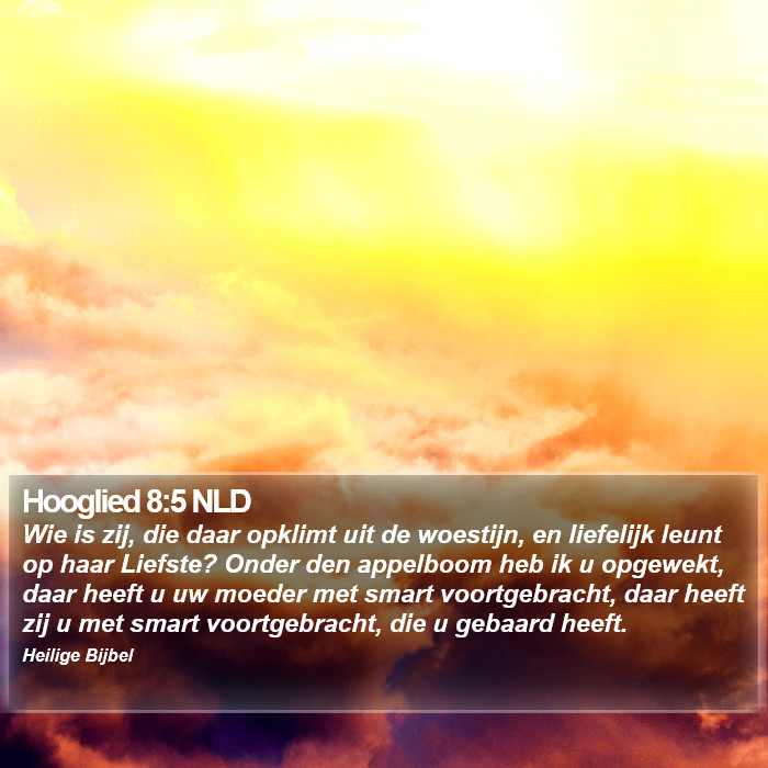 Hooglied 8:5 NLD Bible Study