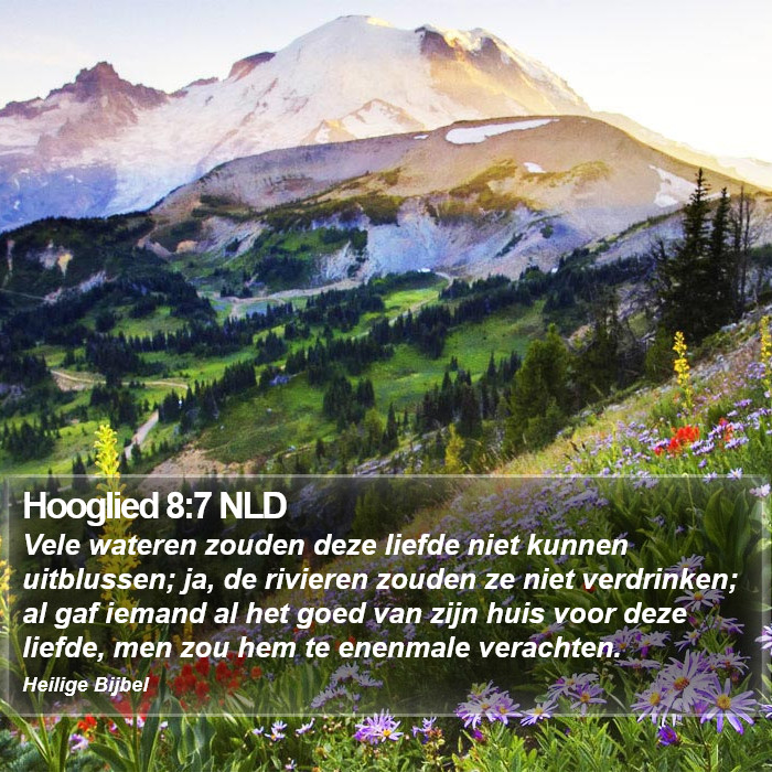 Hooglied 8:7 NLD Bible Study