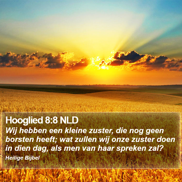 Hooglied 8:8 NLD Bible Study