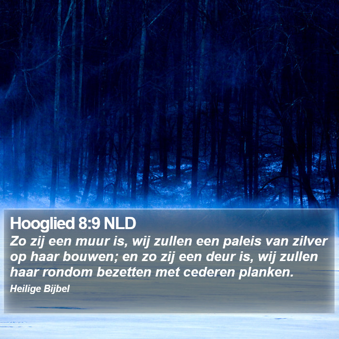 Hooglied 8:9 NLD Bible Study