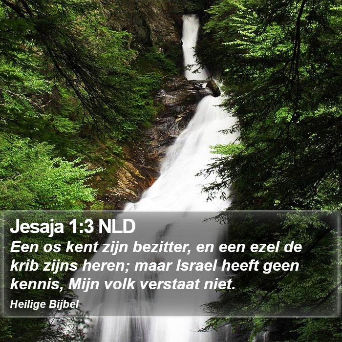 Jesaja 1:3 NLD Bible Study