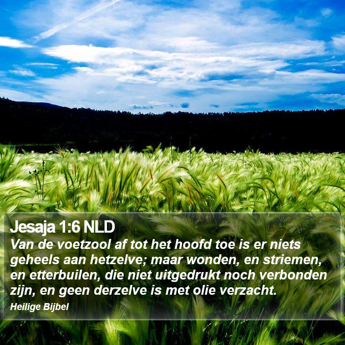 Jesaja 1:6 NLD Bible Study