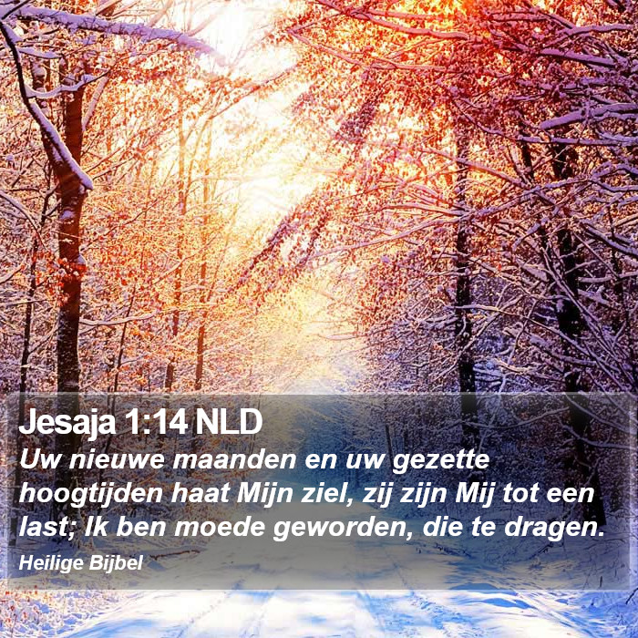 Jesaja 1:14 NLD Bible Study