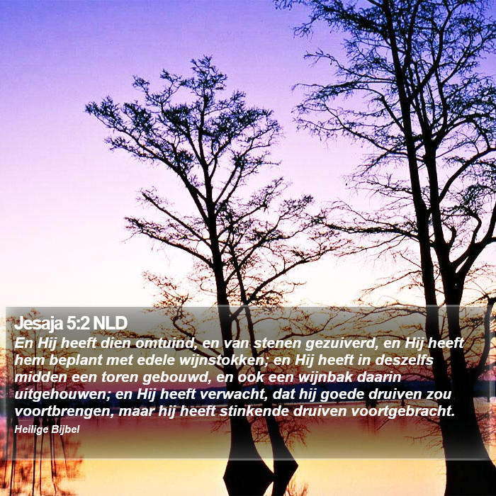 Jesaja 5:2 NLD Bible Study