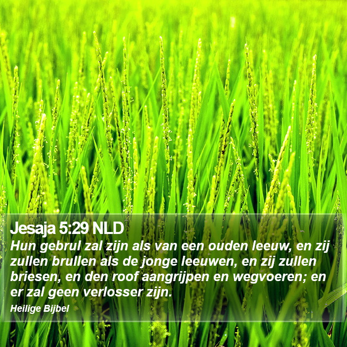 Jesaja 5:29 NLD Bible Study