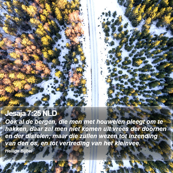 Jesaja 7:25 NLD Bible Study